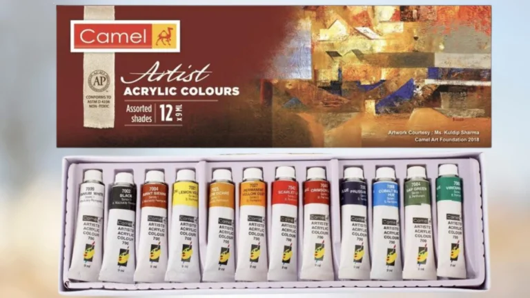 5 Best Acrylic Paint Brands in Pakistan for Artists