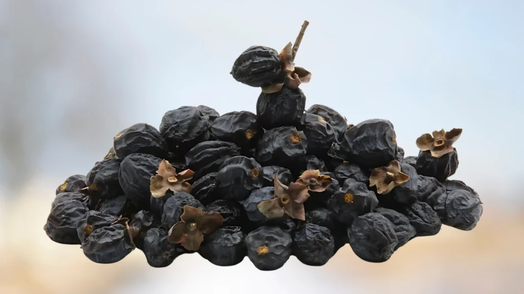 The Mysterious Black Amlok Fruit and Its Amazing Benefits
