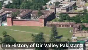 Contact 22 300x169 1.webp.bv