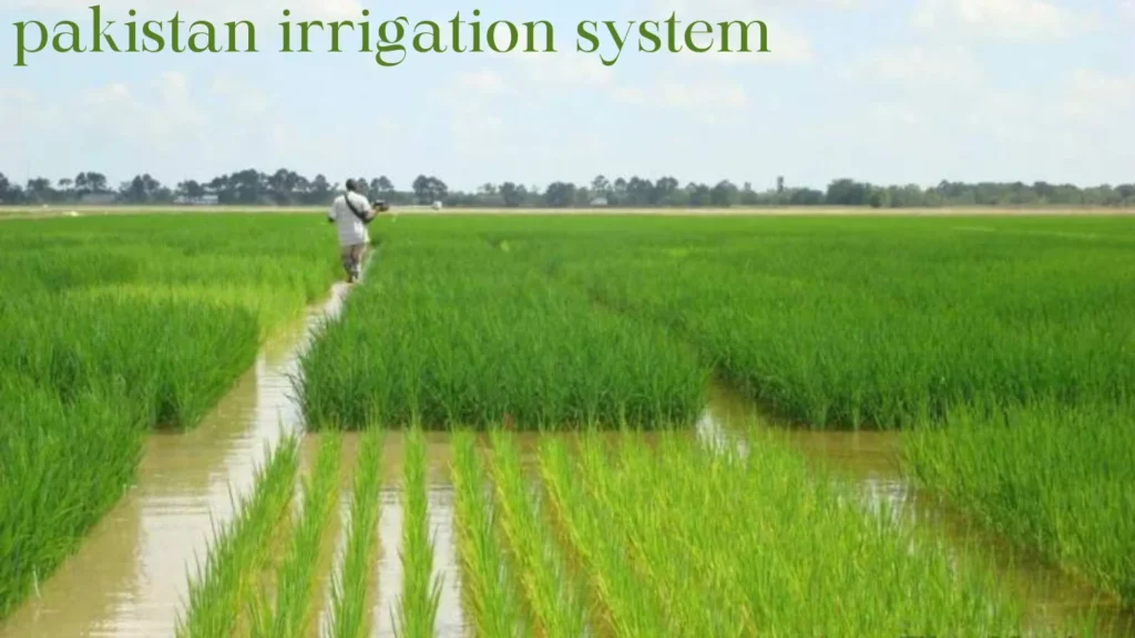 Irrigation System in Pakistan, Pakistan Irrigation System Issues and Challenges