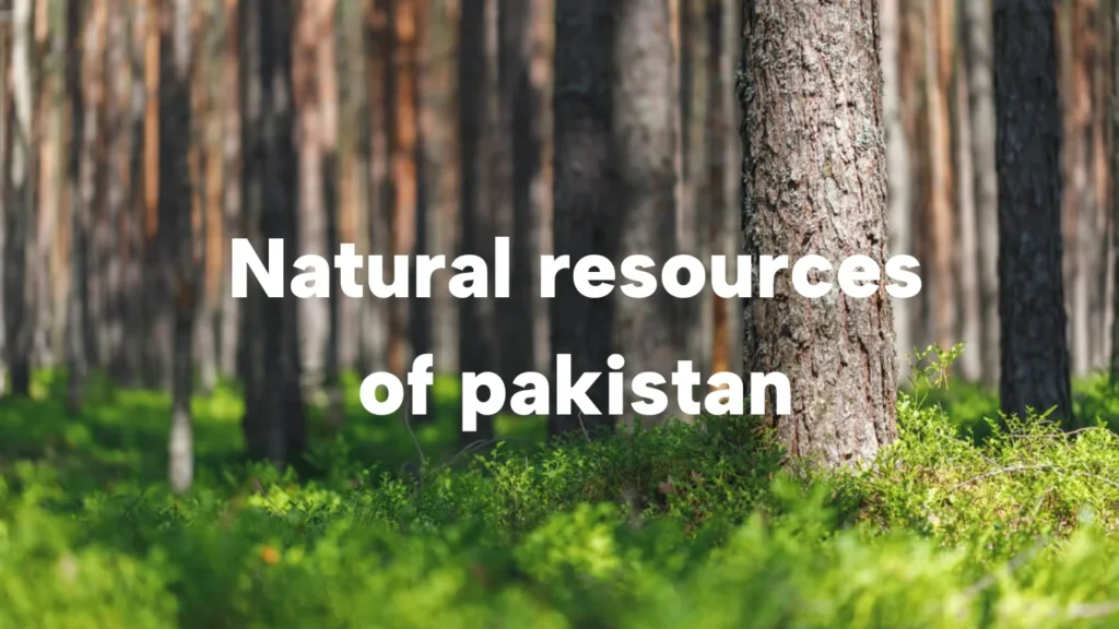 Natural Resources of Pakistan