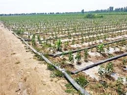 Irrigation System in Pakistan, Pakistan Irrigation System Issues and Challenges